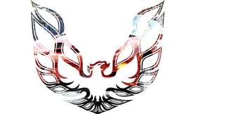 WS6 hood